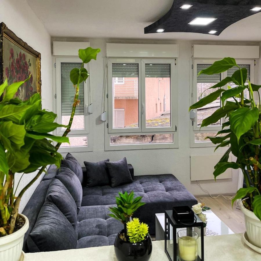 Apartment Tatjana Kragujevac Exterior foto
